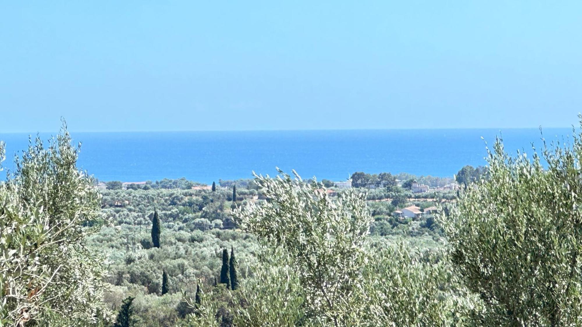 The Secret Garden At Villa Georgia Kalamata Exteriör bild