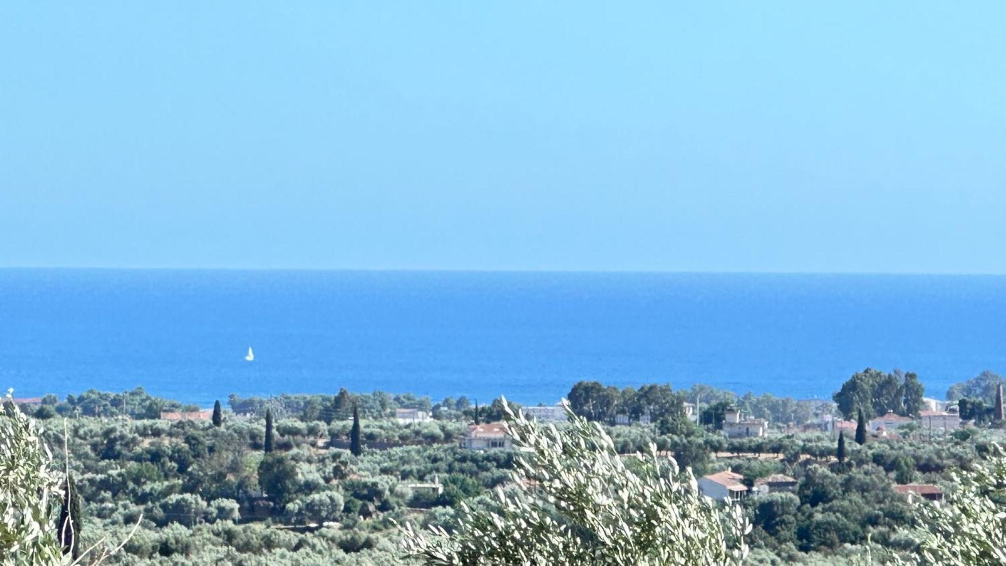 The Secret Garden At Villa Georgia Kalamata Exteriör bild